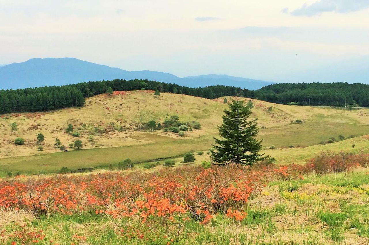 Kurumayama Kogen Guesthouse Urara 치노시 외부 사진